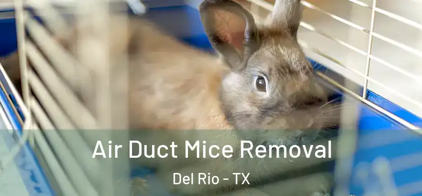  Air Duct Mice Removal Del Rio - TX