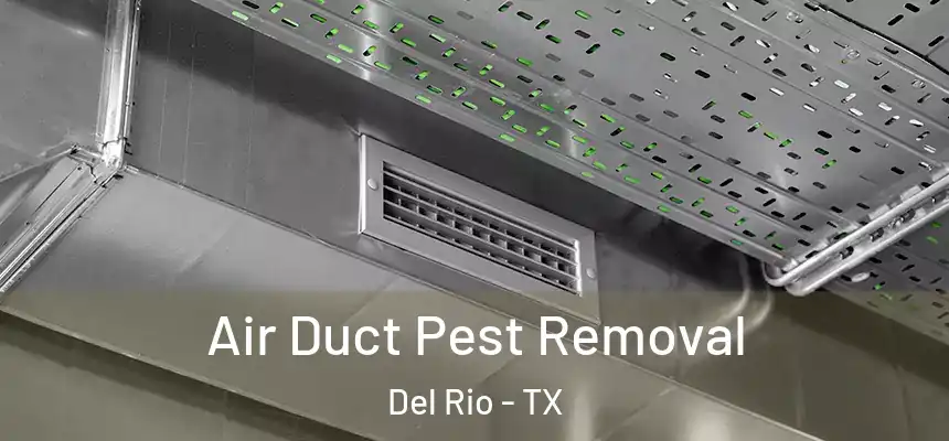 Air Duct Pest Removal Del Rio - TX