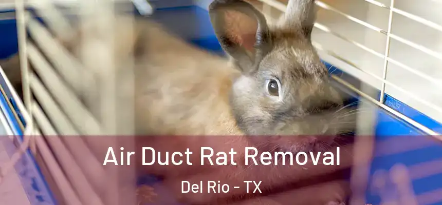 Air Duct Rat Removal Del Rio - TX