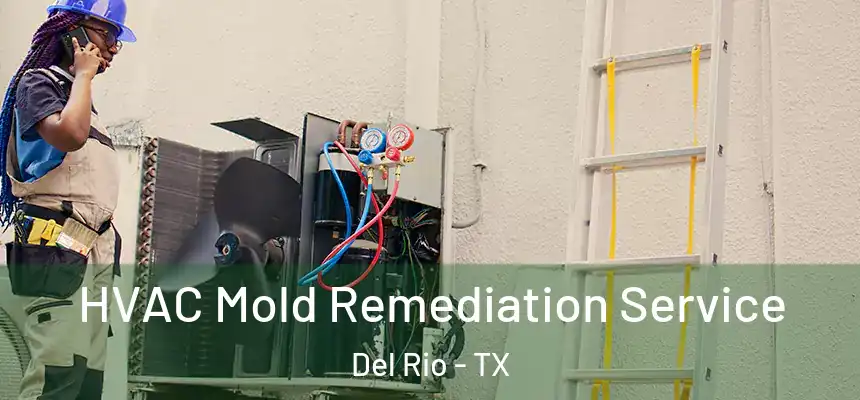 HVAC Mold Remediation Service Del Rio - TX