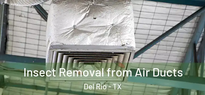 Insect Removal from Air Ducts Del Rio - TX