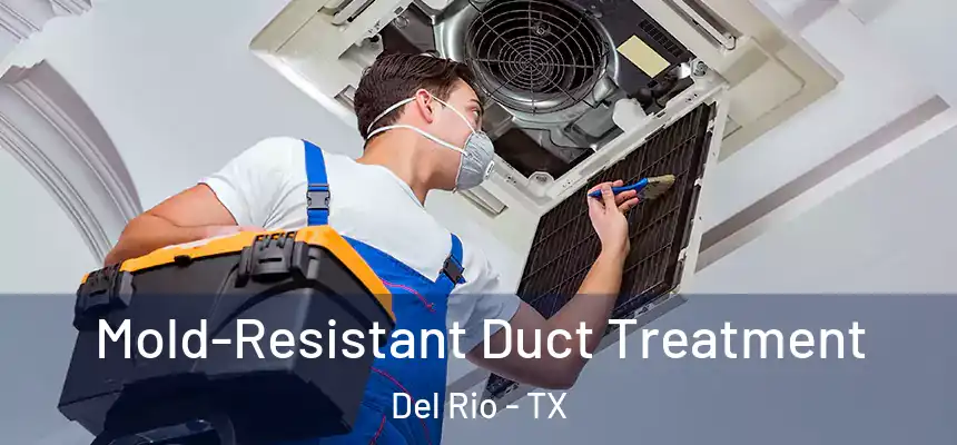  Mold-Resistant Duct Treatment Del Rio - TX