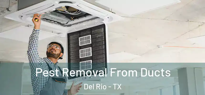  Pest Removal From Ducts Del Rio - TX