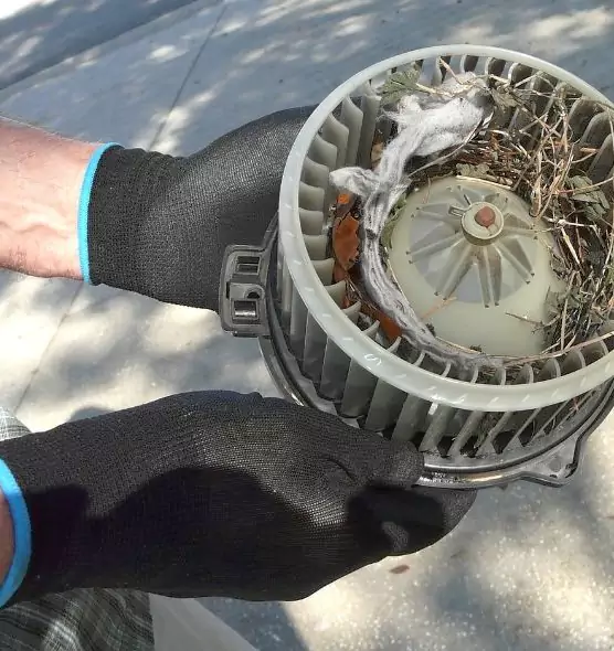 About Air Duct Rat Removal in Del Rio, TX