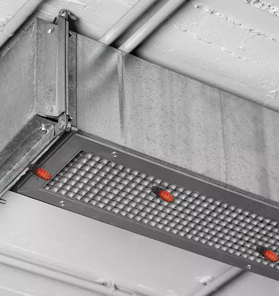 Affordable Insect Removal from Air Ducts in Del Rio, TX