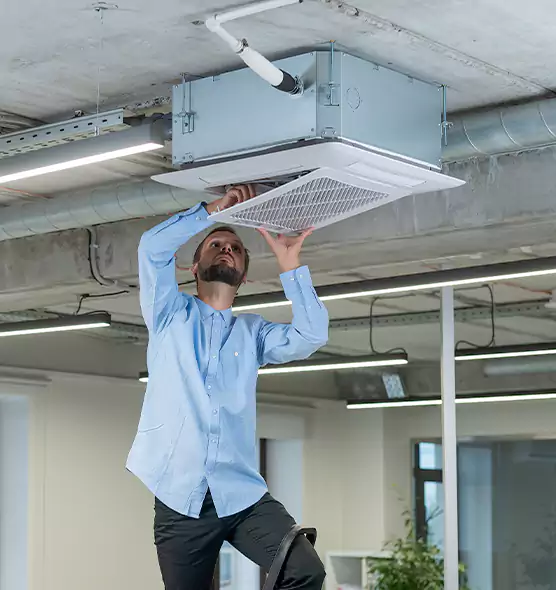 Advanced Rodent Droppings In Vents in Del Rio, TX