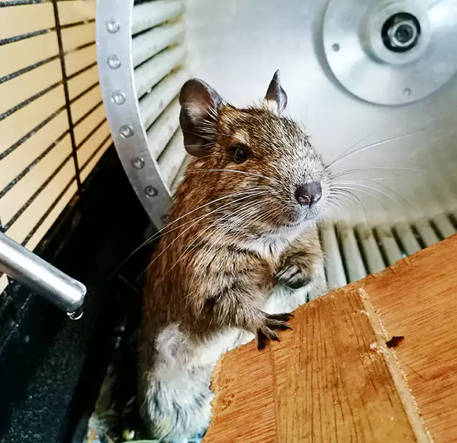 Why Homeowners & Businesses Trust Us Del Rio, TX