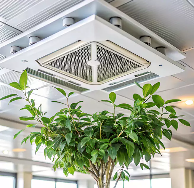 Why Homeowners & Businesses Trust Us in Del Rio, TX