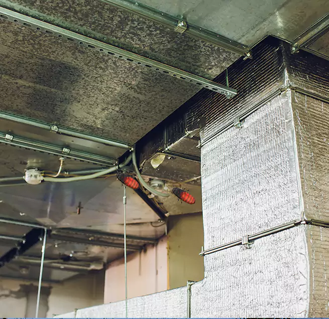 Why Homeowners & Businesses Trust Us Del Rio, TX?