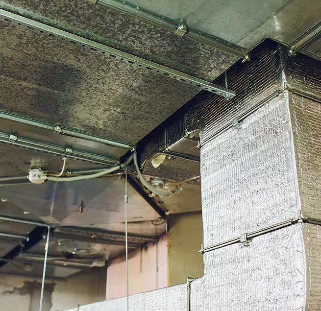 Why Homeowners & Businesses Trust Us in Del Rio, TX?